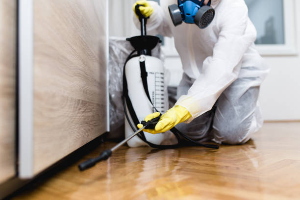 Professional Pest Control in Hallstead, PA