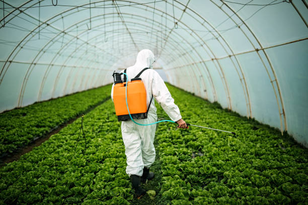 Best Residential Pest Control  in Hallstead, PA