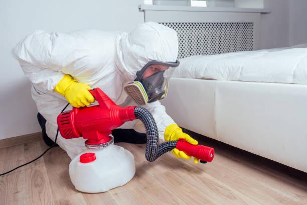 Best Local Pest Control Services  in Hallstead, PA