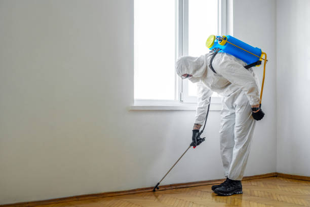 Best Emergency Pest Control  in Hallstead, PA
