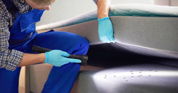 Best Affordable Pest Control Services  in Hallstead, PA