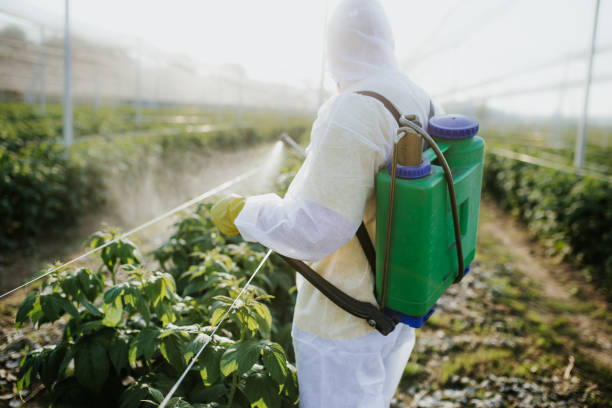 Flea Control Services in Hallstead, PA